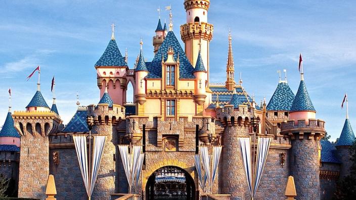 Planning Family and Group Travel with LAX to Disneyland Shuttle Service